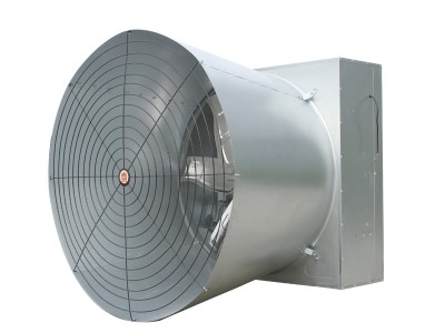 Common Cone Fan