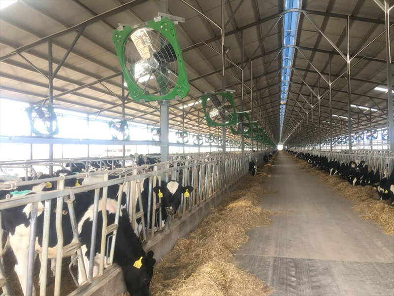 塑料牛舍风机