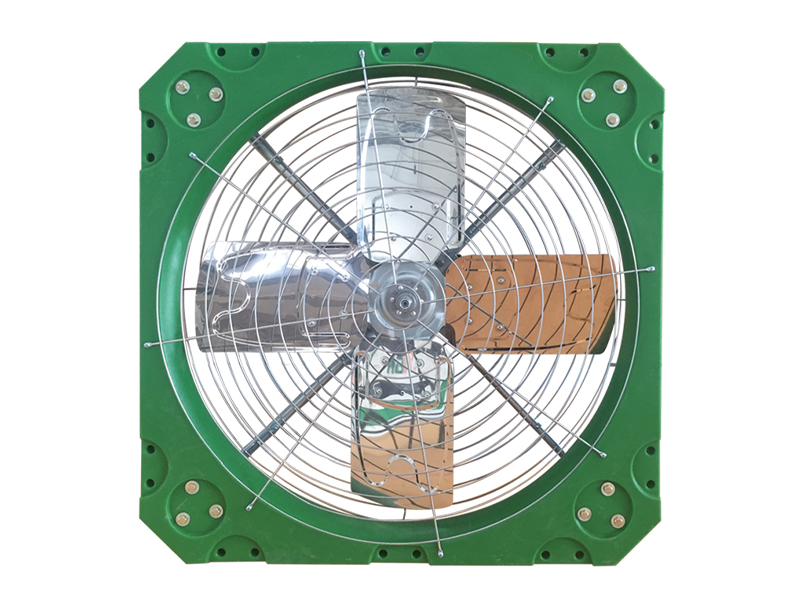 Plastic fan